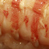 shrimp