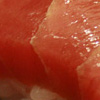 tuna